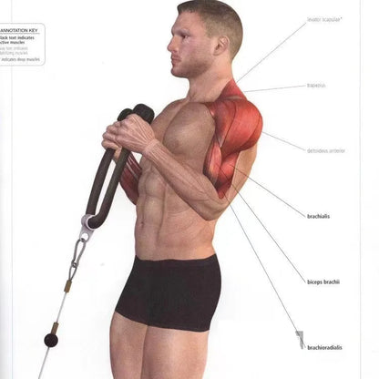 Exercise Cable Ropes/Grip Attatchments