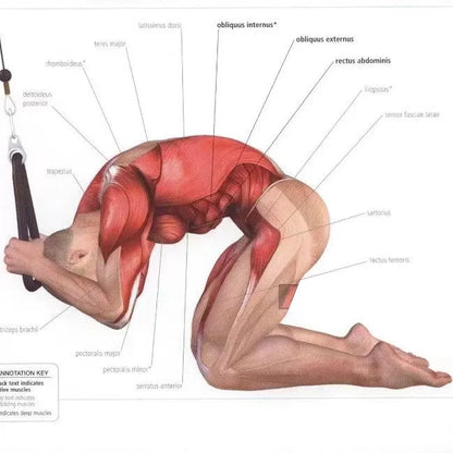 Exercise Cable Ropes/Grip Attatchments